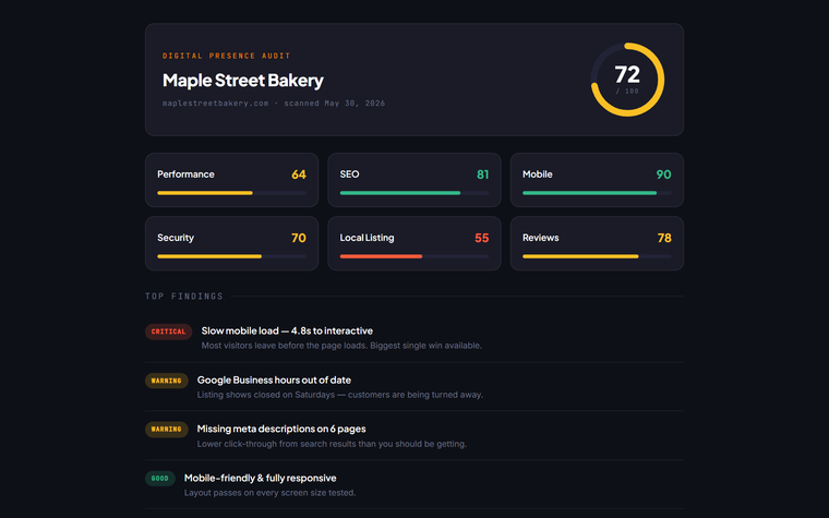 Presence Audit Report — screenshot